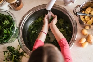 Curso de Manipulación de Alimentos